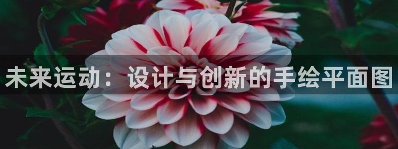 fb体育招商电话是多少号码:未来运动:设计与创新的手绘平面图