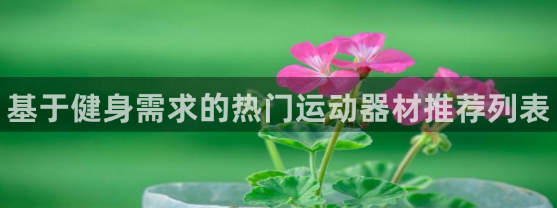 fb体育娱乐首页官网下载:基于健身需求的热门运动器材推荐列表