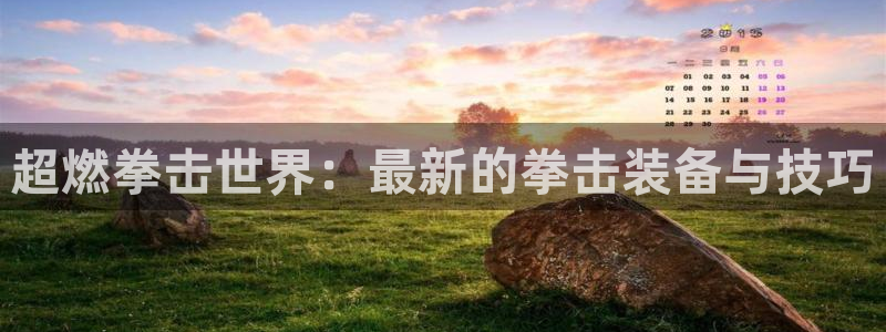 fb体育娱乐平台:超燃拳击世界:最新的拳击装备与技巧