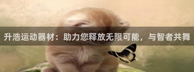 fb体育:升浩运动器材:助力您释放无限可能,与智者共舞