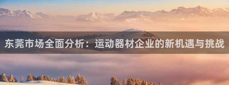 fb体育平台:东莞市场全面分析:运动器材企业的新机遇与挑战